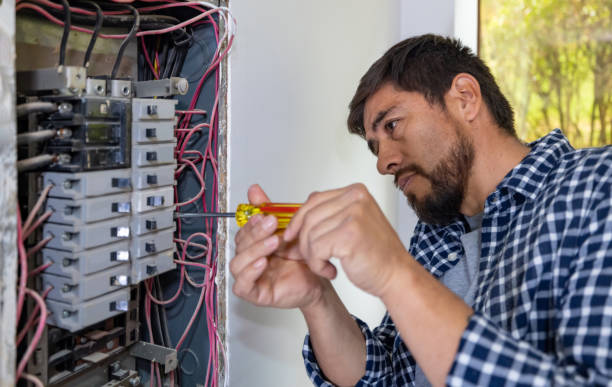 Best Home Electrical Repair  in Agency Village, SD